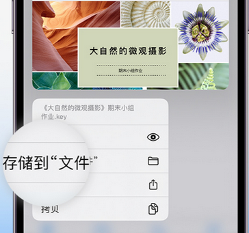 格尔木apple维修中心分享iPhone文件应用中存储和找到下载文件