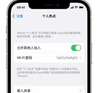 格尔木apple服务站点分享iPhone上个人热点丢失了怎么办