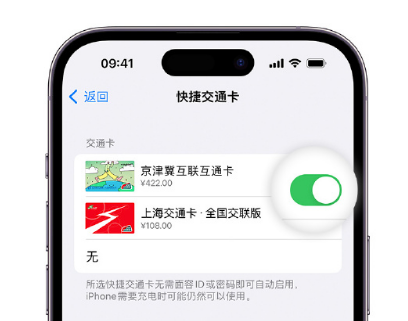 格尔木apple维修点分享iPhone上更换Apple Pay快捷交通卡手绘卡面 