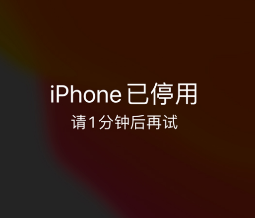 格尔木苹果手机维修分享:iPhone 显示“不可用”或“已停用”怎么办？还能保留数据吗？ 