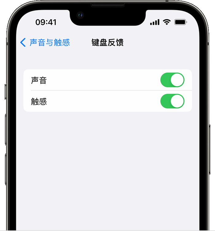 格尔木苹果14维修店分享如何在 iPhone 14 机型中使用触感键盘 