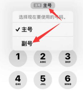 格尔木苹果14维修店分享iPhone 14 Pro Max使用副卡打电话的方法 