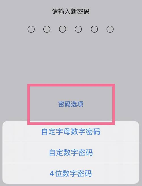 格尔木苹果14维修分享iPhone 14plus设置密码的方法 